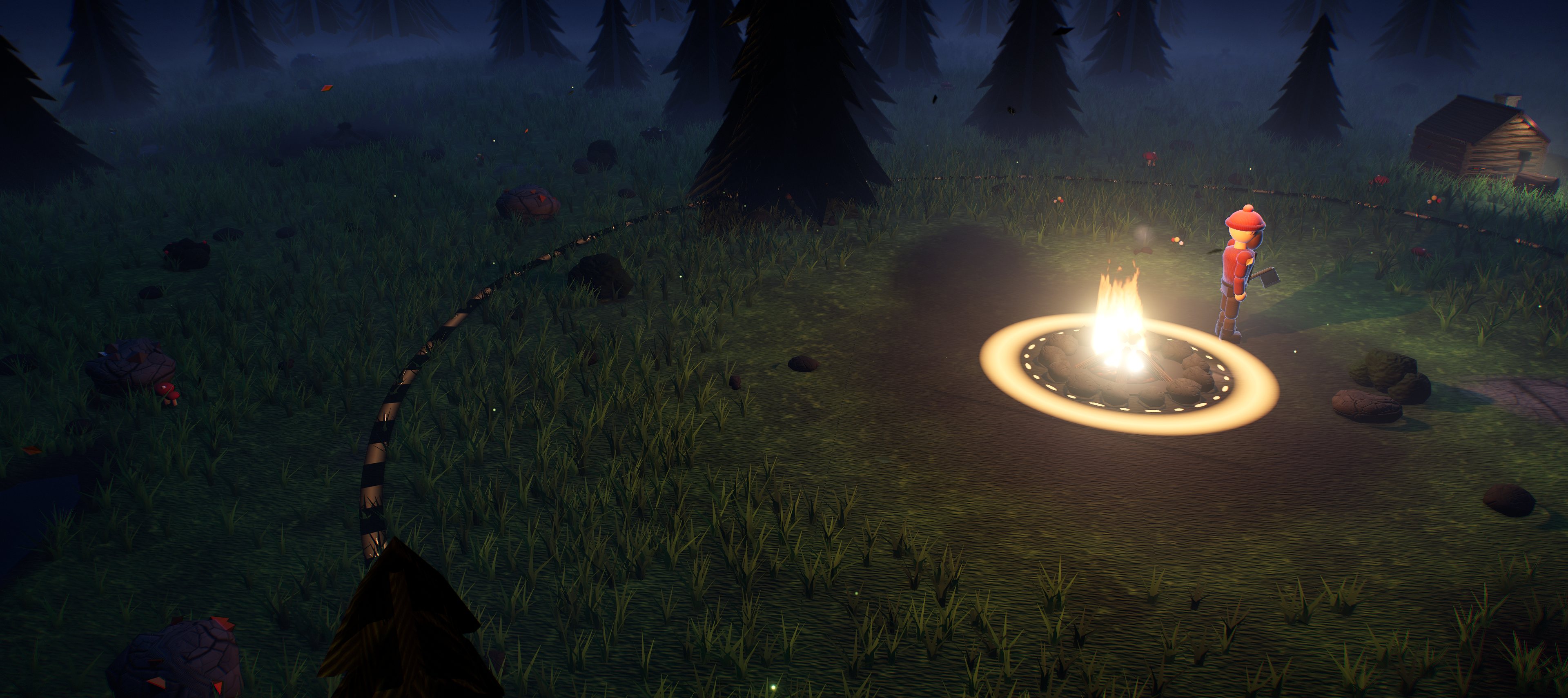 A survivor stands beside a glowing campfire in a pine forest at night